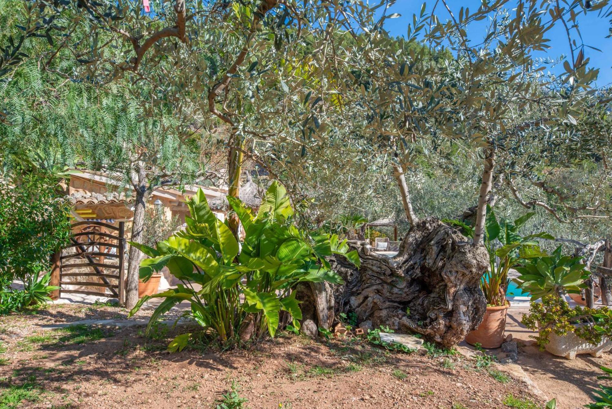 Villa Ses Begudes